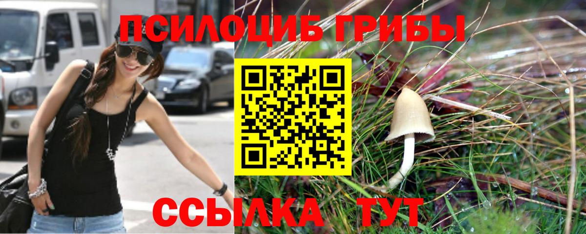 Галлюциногенные грибы Psilocybine cubensis  Вход с VPN  Аргун 