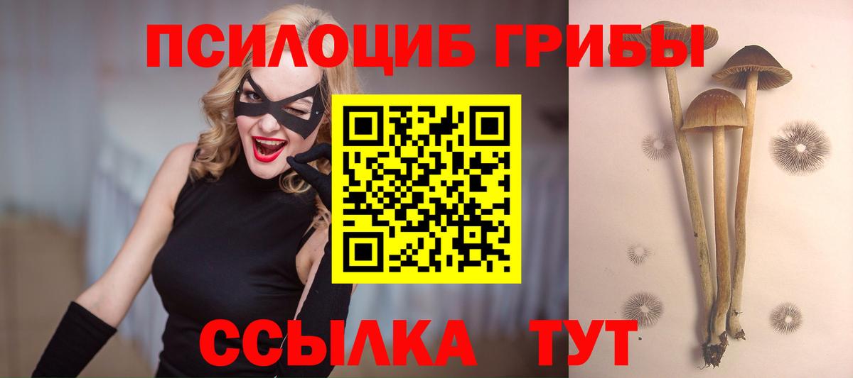 Псилоцибиновые грибы Cubensis Аргун